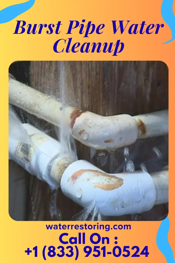 Burst Pipe Water Cleanup in Braham, MN