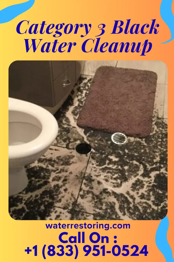 Category 3 Black Water Cleanup in Braham, MN