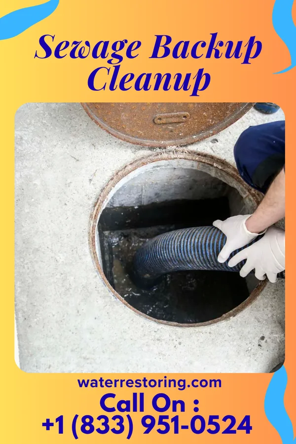 Sewage Backup Cleanup in Braham, MN